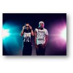 21-08-2013 - sony tracy - tournewsletter - Madcon.jpg